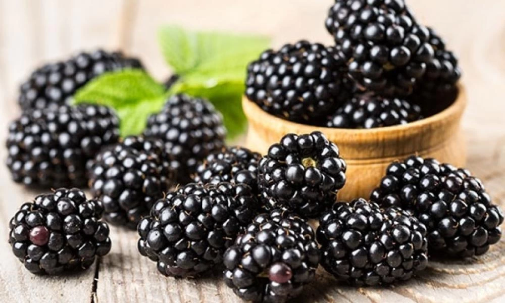 Βατόμουρα: 9 λόγοι για να τα εντάξετε στην καθημερινότητα σας